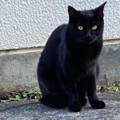 柊秋桜&百恵っち