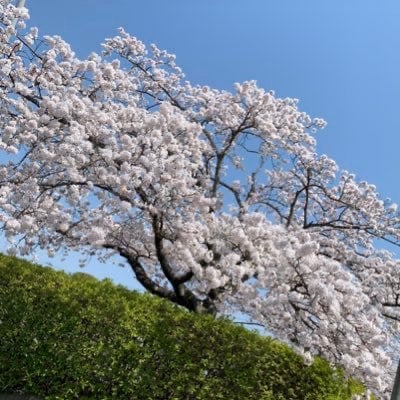 こた@ ゆいゆいのトーク