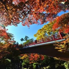 山口 (YAMAKUCHI)​のトーク