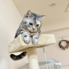 はなまる