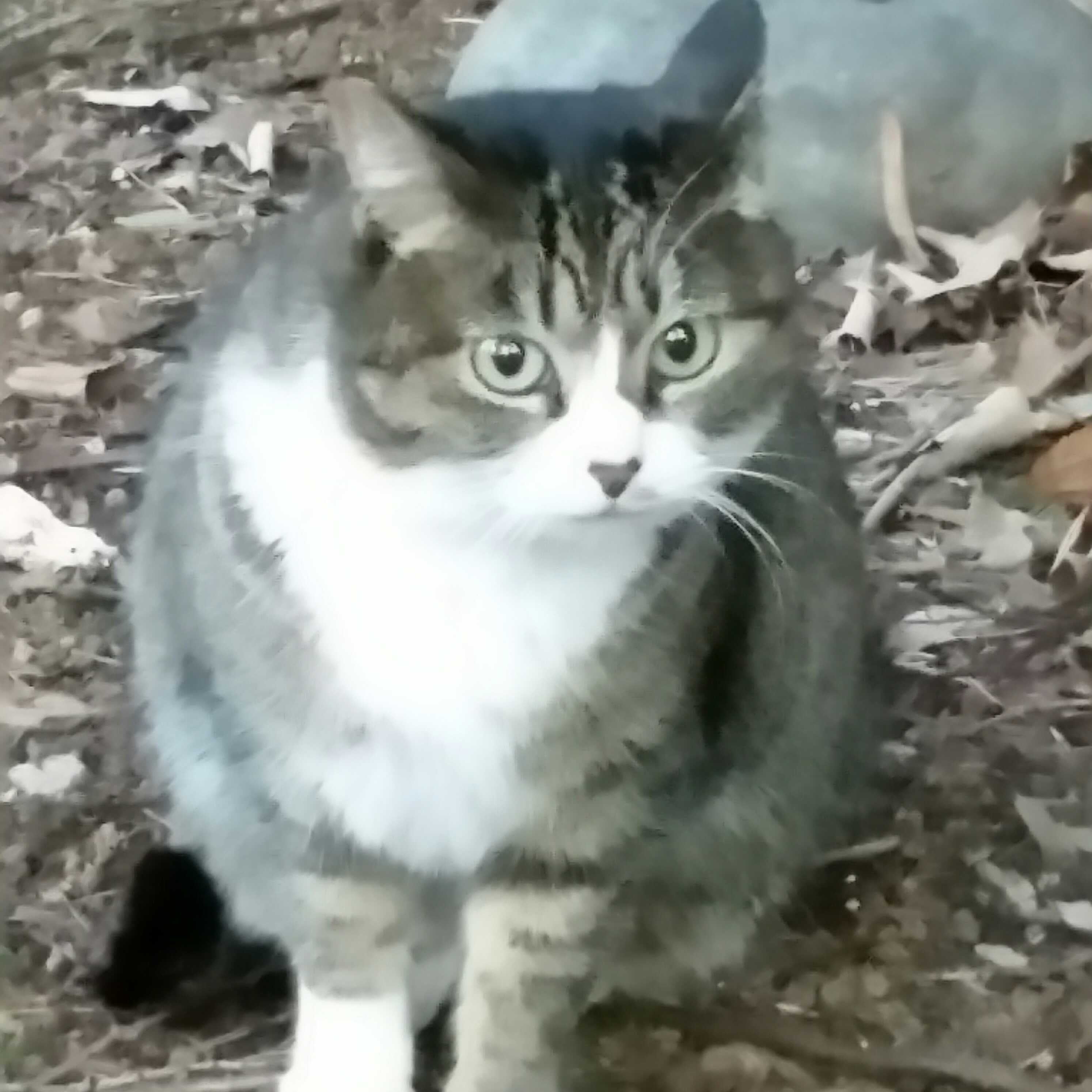 りょー