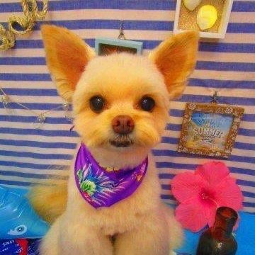 ゆういちのトーク