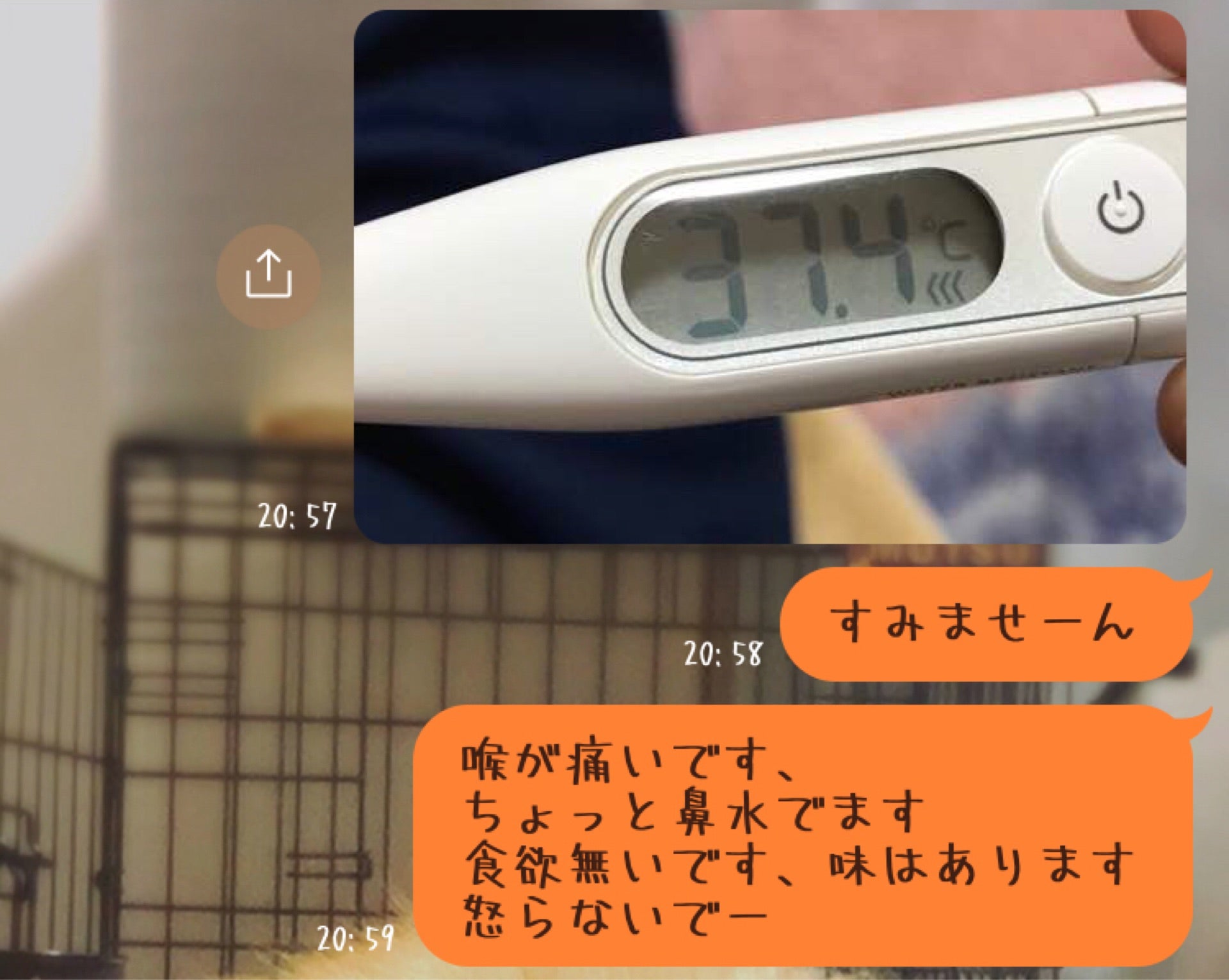投稿画像