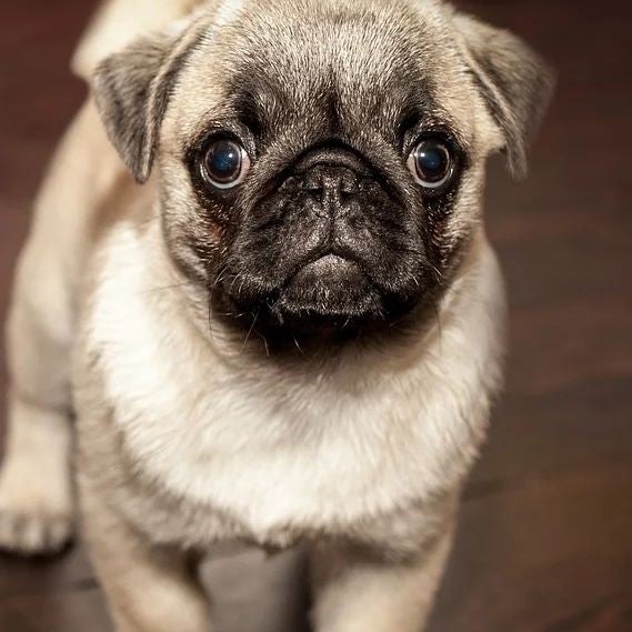 なぜ！泣けるよね😭