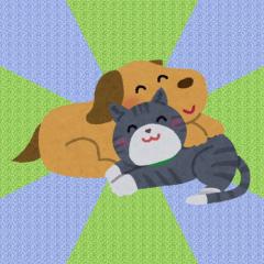 ネコ派の犬好きのトーク