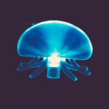 アンダーライスのトーク