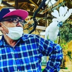 Instagram ken