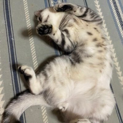 関西8推し