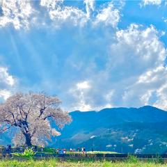 なーやんトーク