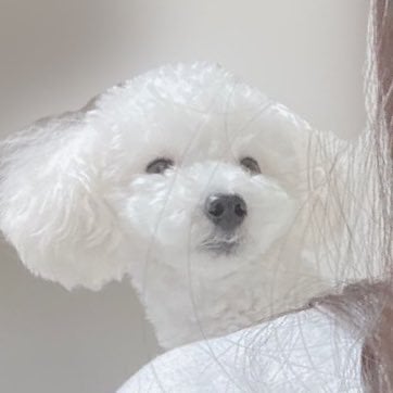 ななし