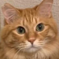 おすしのトーク