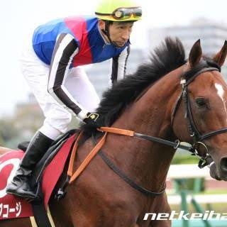 ティケの競馬トーク