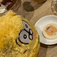 おまゆ ໒꒱のトーク