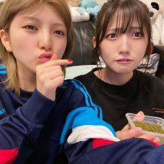 プードル🍎🌱