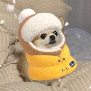 かっぱ巻き太郎