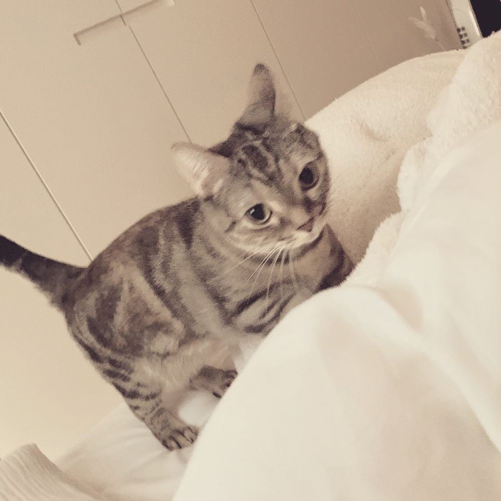 ヤースケ
