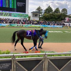 3年ぶりに会えたオジュウチョウサン