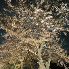 ちひろ