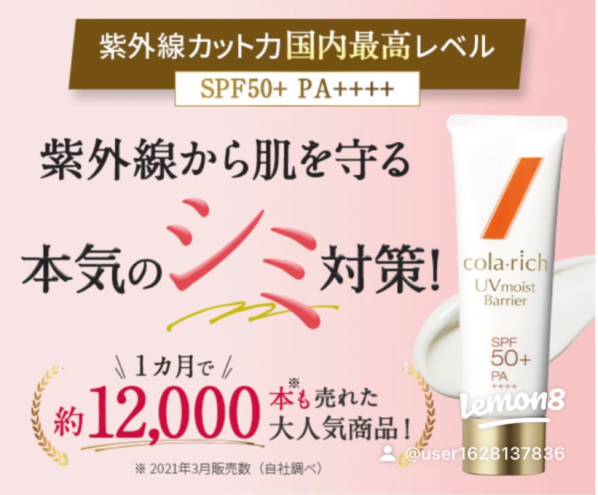 投稿画像