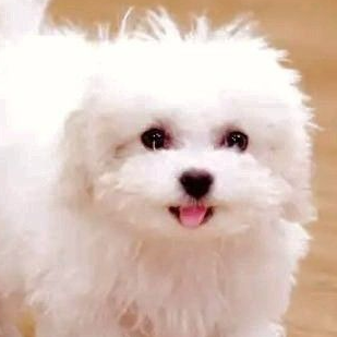 べべんぺ