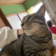 きょうもがんばりたい