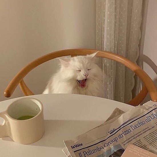 わさびのトーク