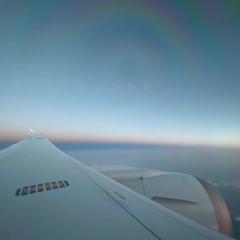 アナー  {Ana}のトーク