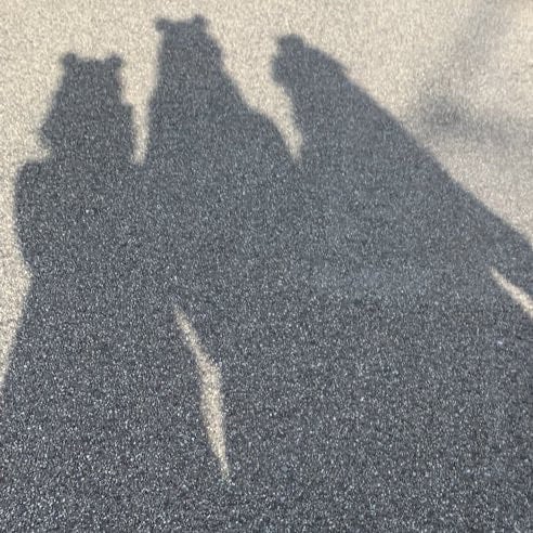 感情はゴミ箱に