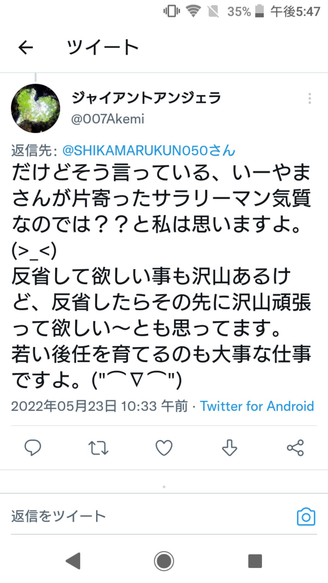 投稿画像