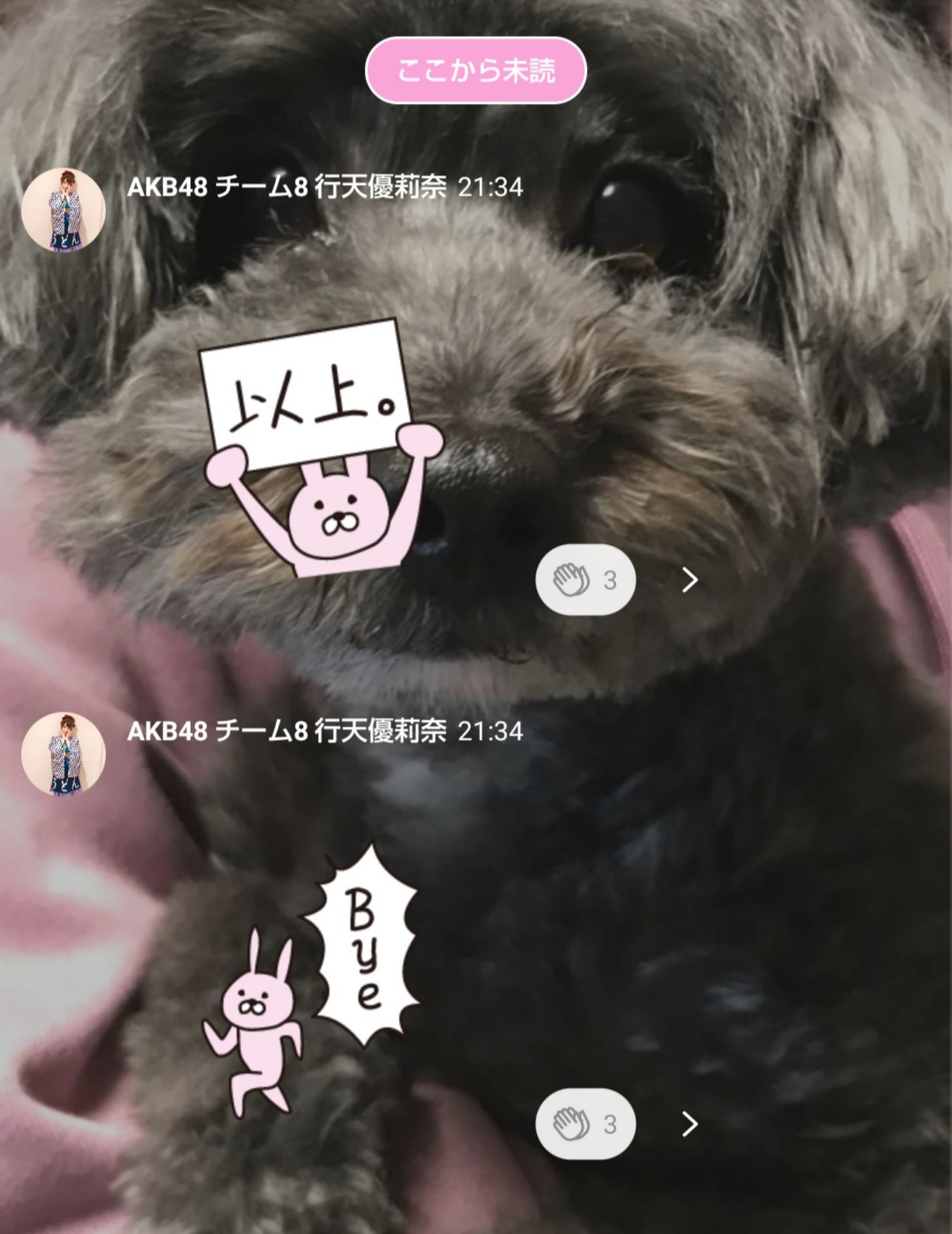 投稿画像