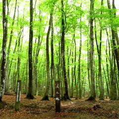 るなきのトーク