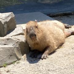 遠津渉のトーク