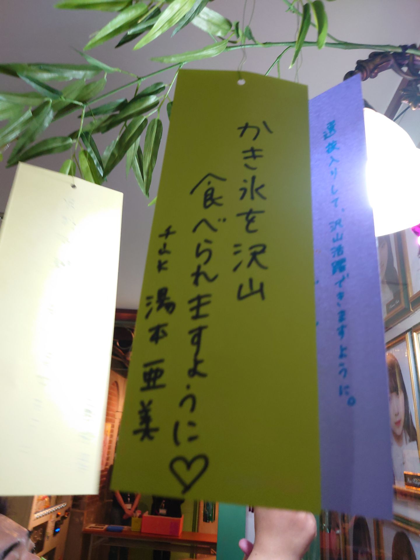 投稿画像