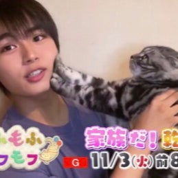 もふもふモフモフのトーク