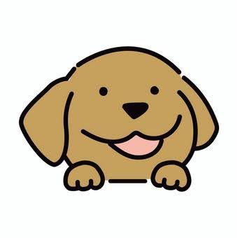 ふちこ