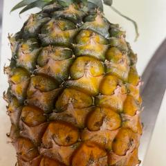 🌺🐠そうじろう🌴🏄‍♂️