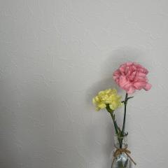 #ゆいりーメール