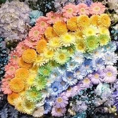 （・´｀ U，のトーク