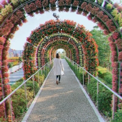 縦横の横のトーク