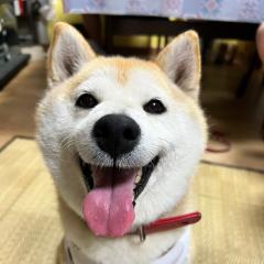 ほのかのトーク