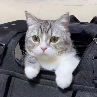 ゆみゆみダンナのトーク