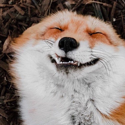 すょう