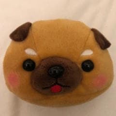 🔮キョーケンドッグラン✅