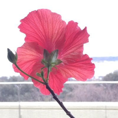 高橋裕のトーク