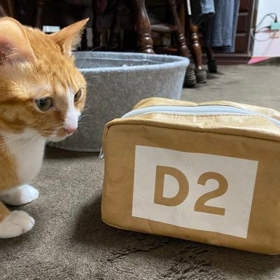 みみつきのトーク