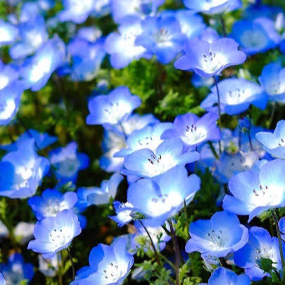 ラムネのトーク