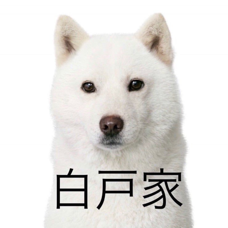 白戸パパ井手上獏トーク