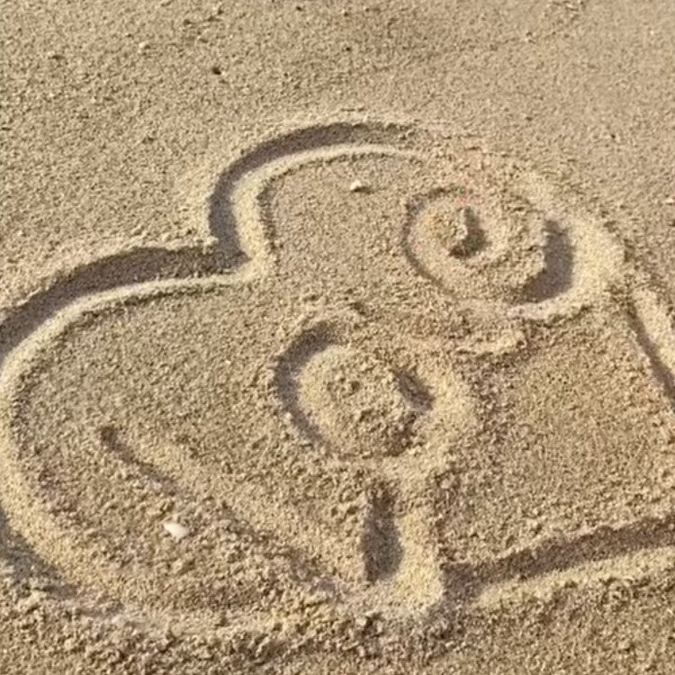 夢見る青い星🐥