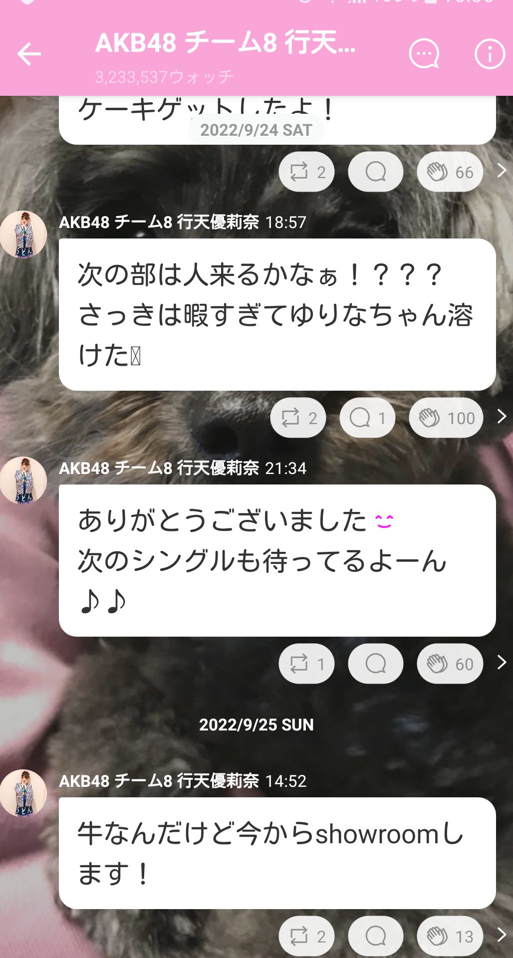 投稿画像
