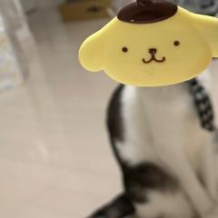 んどんどんかつどん